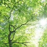 電気主任技術者って何する人？再生可能エネルギーと電気主任技術者の関係性について解説！