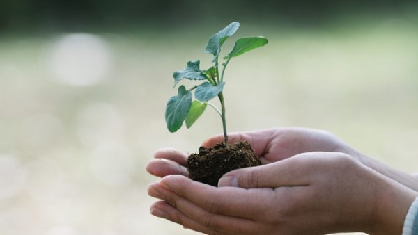 電気主任技術者が知っておくべきサステナブルファイナンス政策の最前線