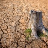 電気主任技術者が担う気候変動対策の最前線