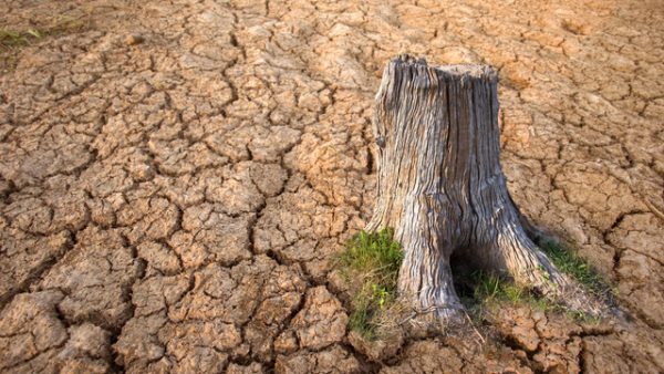 電気主任技術者が担う気候変動対策の最前線