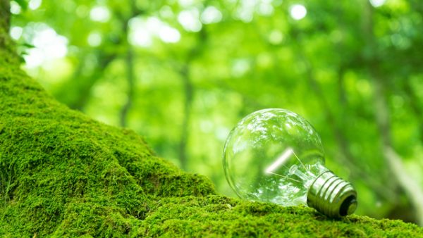 2050年カーボンニュートラル実現へ！今求められる再エネ計画