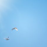 地方移住×再エネ転職で得られる「3つの自由」