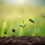 電験三種合格後の“最短キャリアルート”とは？再エネ業界で早期成長する方法