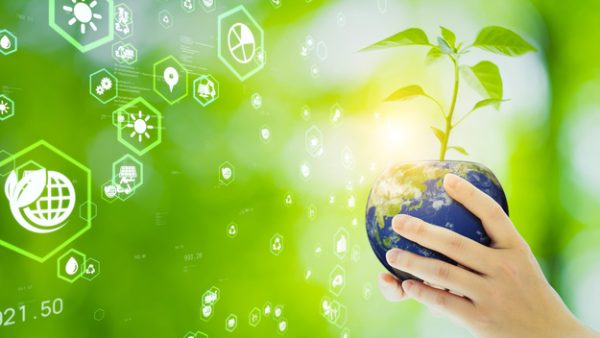 電気主任技術者が担うカーボンニュートラルの最前線