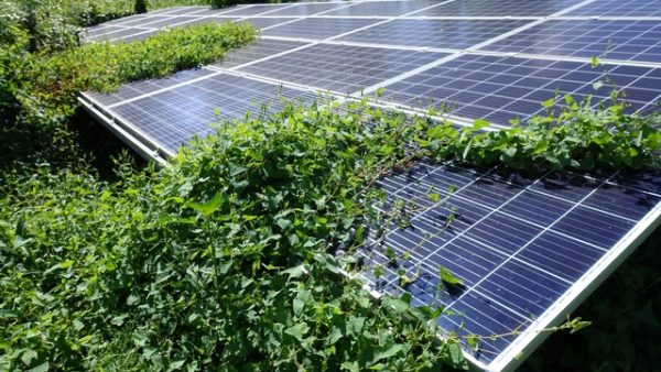 太陽光発電のトラブル対応！現場で遭遇する故障の原因と対策