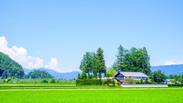 都会を離れて年収維持？地方の再エネ現場で築く理想の暮らし