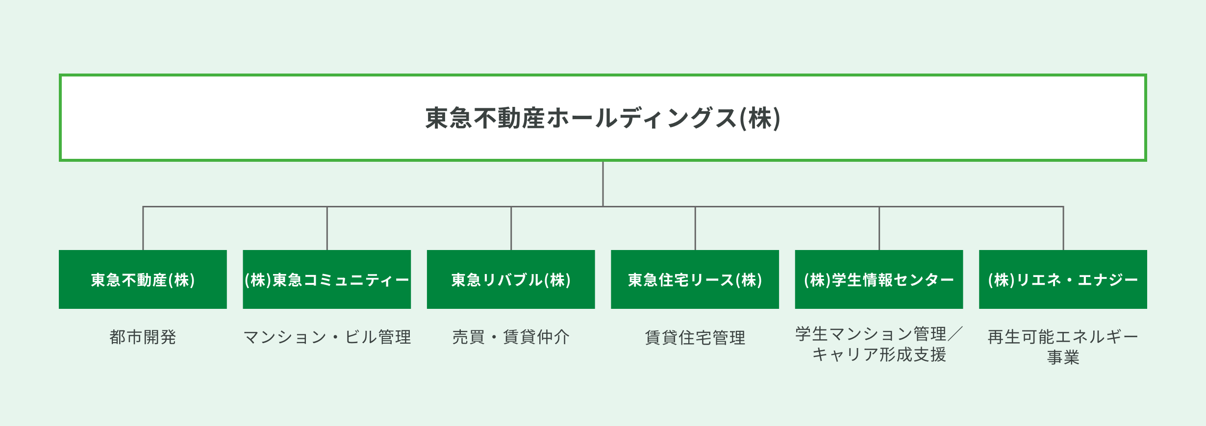 東急不動産ホールディングスグループ組織図：東急不動産ホールディングス(株)の傘下に、東急不動産(株)（都市開発）、(株)東急コミュニティー（マンション・ビル管理）、東急リバブル(株)（売買・賃貸仲介）、東急住宅リース(株)（賃貸住宅管理）、(株)学生情報センター（学生マンション管理／キャリア形成支援）、(株)リエネ・エナジー（再生可能エネルギー事業）